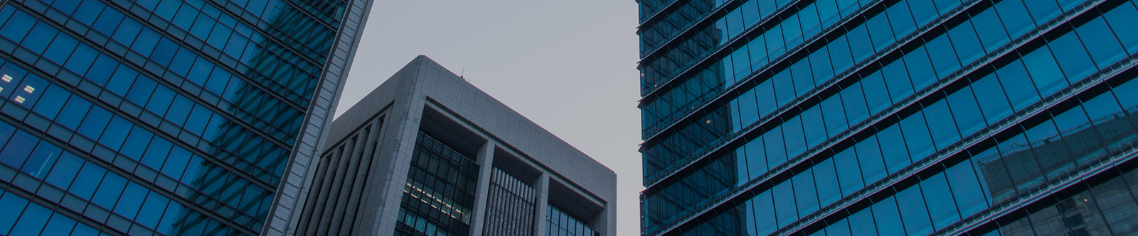 China Shenzhen Xiaohongbao Technology Co., Ltd. Company Profile 